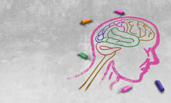 Hafıza nasıl çalışıyor?