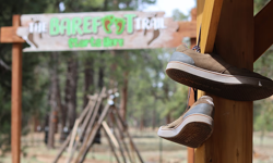 Adım adım toprağa dönüş: Yalınayak parkurlar dünya genelinde yayılıyor