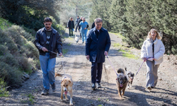 İzmir’de 3 binin üzerinde hayvan sahiplendirildi: Satın alma, sahiplen çağrısı yinelendi