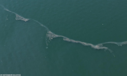 İzmir Körfezi'nde 12'nci kez dış kaynaklı kirlilik tespit edildi