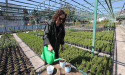 Karşıyaka Belediyesi üretiyor, parklar çiçek açıyor