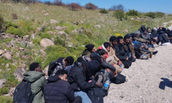 Çeşme’de göçmen kaçakçılığı operasyonu: 36 düzensiz göçmen yakalandı