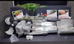 Konak’ta yasaklı madde serasına baskın: 1 tutuklama