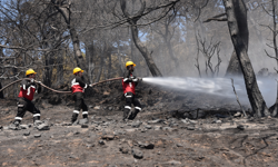 Menemen, afetlere karşı hazırlıkta fark yarattı
