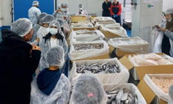 İzmir’de 200 çocuk denizle buluştu: “Yeni Nesil Balıkçılar” projesi hayata geçti