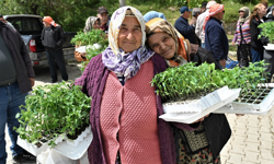 Bornova’da üreticiye 150 bin yazlık sebze fidesi desteği