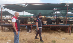 Çiğli’de Kurban Bayramı denetimleri arife gününde de sürüyor
