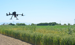 Ege Üniversitesinde "drone"lar tarımın geleceği için gökyüzünde!