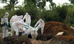 Ebola salgınında can kaybı 160’a yükseldi