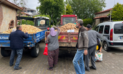 Güzelbahçe Beldiyesi'nden vatandaşlara ücretsiz patates soğan desteği