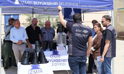İzmir Büyükşehir, kahverengi kokarcaya karşı çiftçinin alın terini koruyor