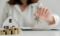 Tapu rengi ne anlama geliyor: Kahverengi güvence, turkuaz risk mi?