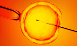 Kısırlık tedavisinde yeni umut: Yapay zeka sperm hücrelerini tespit ediyor