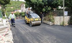 Maydonoz Koyu’nda yol seferberliği: 7 bin metrekarelik asfalt çalışması