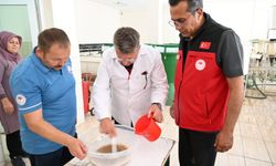 Ürkmez Su Ürünleri İstasyonu’nda sazan üretimi incelendi