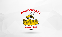Bir partiye daha mahkeme freni: ANAP kongresi iptal edildi