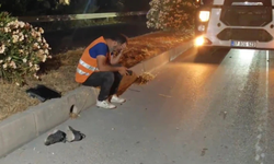 Kızını YKS’ye götürüyordu: Feci kazada hayatını kaybetti