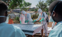 Ebola endişesi artıyor: Salgın için acil durum ilan edildi