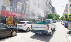 Konak'ta sivrisineklere karşı ilaçlama seferberliği: Ekipler her gün sahada