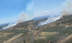 Dikili’de ziraat alanında yangın: Alevler makiliğe sıçradı, 8 helikopterle müdahale!