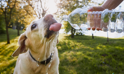 Uzmanlar 'dikkat' diyerek uyardı: Türkiye yeni sıcak hava dalgasının etkisine giriyor!