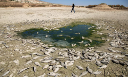 Tarihin en güçlü El Nino'su kapıda mı, dünyayı neler bekliyor? Bilim insanlarından kritik uyarı