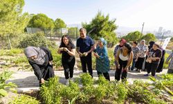 Başkan Tugay Meriç Mahalle Bostanı'nda kadınlarla hasat yaptı