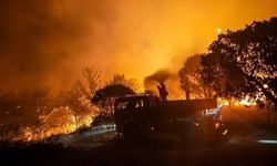 Balıkesir’de orman yangınına ilişkin flaş gelişme: 2 kişi tutuklandı