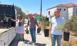 Bornova'da tarıma can suyu: Üreticiye tam destek ve teknik danışmanlık seferberliği