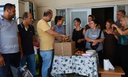 Efes Selçuk'ta can dostlarına modern teşhis imkânı