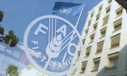 FAO raporu: Sağlıklı beslenme artık lüks haline geldi