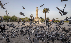 İzmir, 2050'de iklim nötr kent olmayı hedefliyor