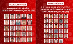 Yurt dışına kaçmışlardı! Kırmızı bültenle aranan 54 şüpheli Türkiye'ye iade edildi
