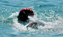 12 derecelik sularda dev mücadele: Tuna Tunca Kuzey Kanalı'nda yüzecek