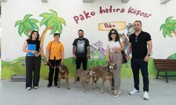 İzmir Büyükşehir'den örnek proje: Şeker, Tarçın ve Salça çalışma arkadaşlarına kavuştu