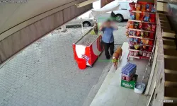 Karşıyaka'da başıboş bırakılan pitbull dehşet saçtı: Kadının parmağı koptu!