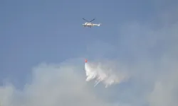 Bayındır'da zeytinlik ve otluk alanda çıkan yangın kontrol altına alındı