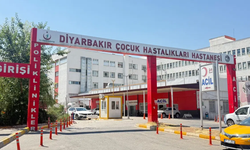 4 ay önce kedi tırmalamıştı: 3 yaşındaki çocukta kuduz tespit edildi