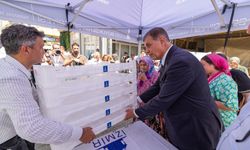 İlk dağıtım Tire ve Torbalı'da: İzmir Büyükşehir Belediyesi'nden üreticiye kerevet desteği