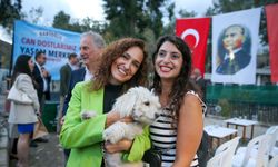 Karşıyaka'nın patileri, yeni yuvalarına kavuşmayı bekliyor