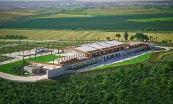 Metropolis topraklarında hasat heyecanı: LA Bağları’nda özel deneyim