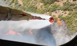 Ödemiş'te çıkan orman yangınına 2 uçak, 3 helikopterle müdahale!