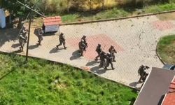 Urla'da kenevir operasyonu: 125 kök kenevir ele geçirildi, 1 tutuklama