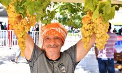Urla’da 2600 yıllık miras yeniden canlanıyor: Bağbozumu Şenlikleri için geri sayım başladı!