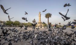 İzmir’in iklim deneyimi Avrupa’ya taşınacak