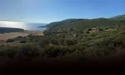 Türkiye fonu konuşurken bunu unutuyor: İzmir ve Ege Bölgesi'ndeki değerli kamu arazileri kimlere tahsis edildi?