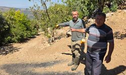 Tire Akçaşehir’de yol isyanı: Vatandaşlar çözüm bekliyor