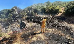 Kemalpaşa’da makilik yangını kontrol altına alındı