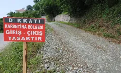 Bergama’da mavi dil alarmı! 15 mahalle karantinaya alındı