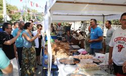 Gökçealan Osmancık Üzüm Şenliği için geri sayım başladı